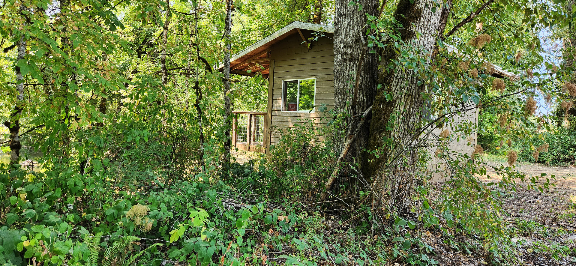 Santiam Serenity