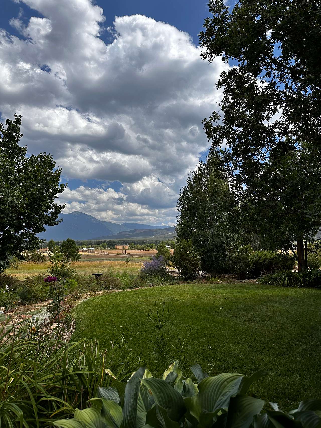 HarmonyTaos Regenerative Farm