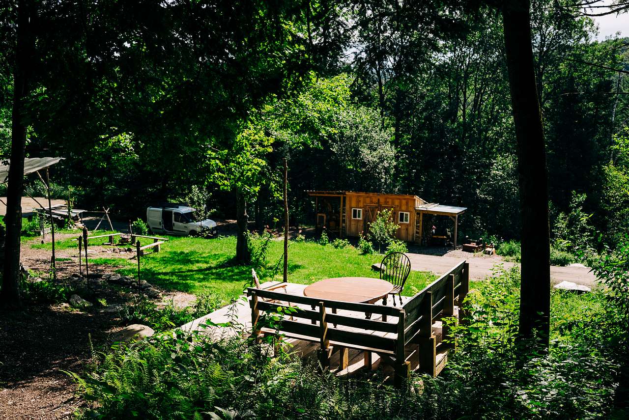 Fern Hollow