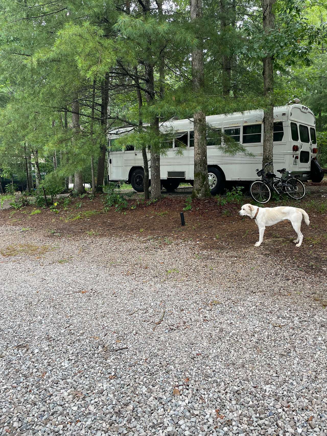 Overlander Workshop
