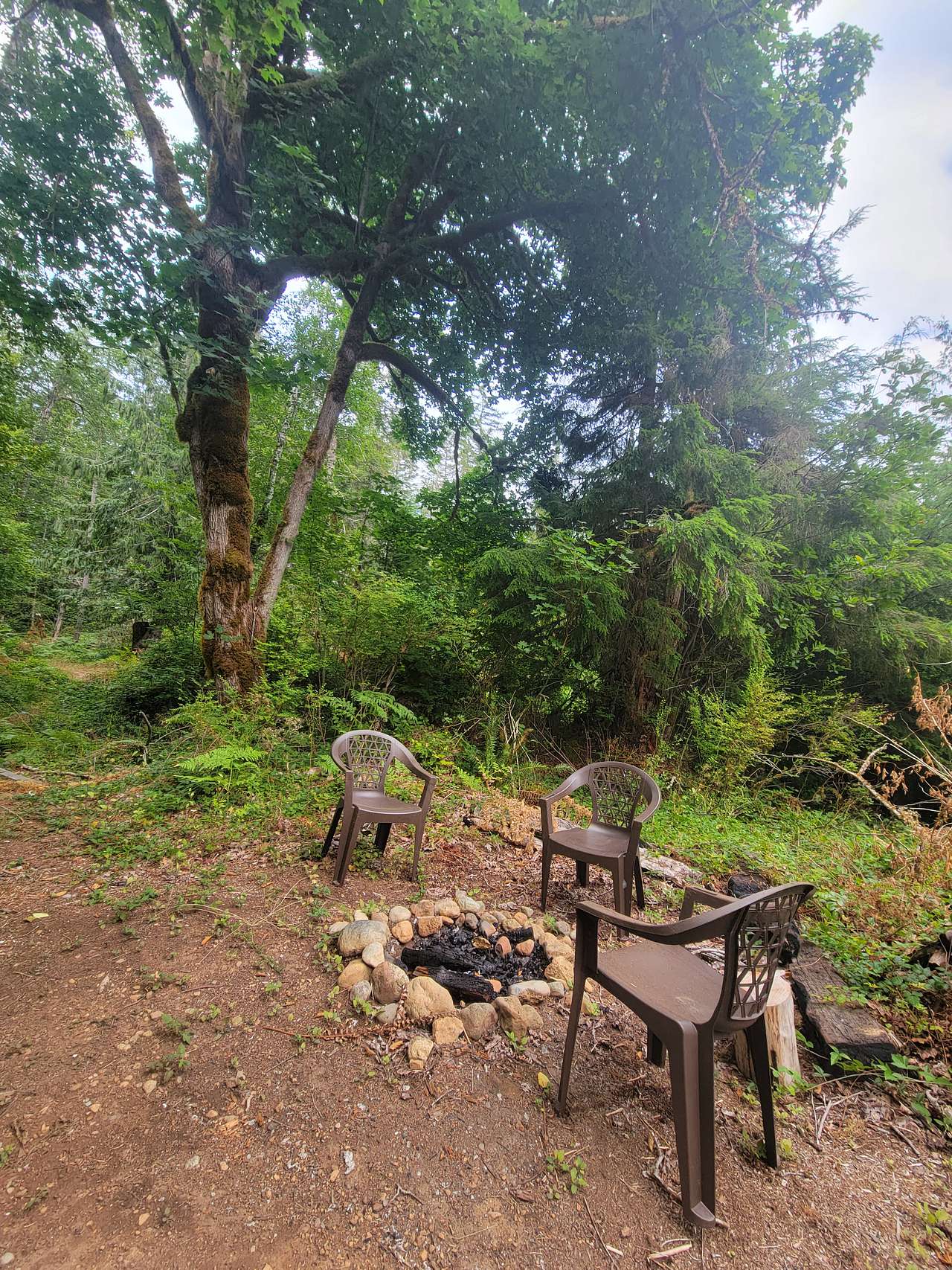Firepit area (available for use when there is no burn ban in effect) 