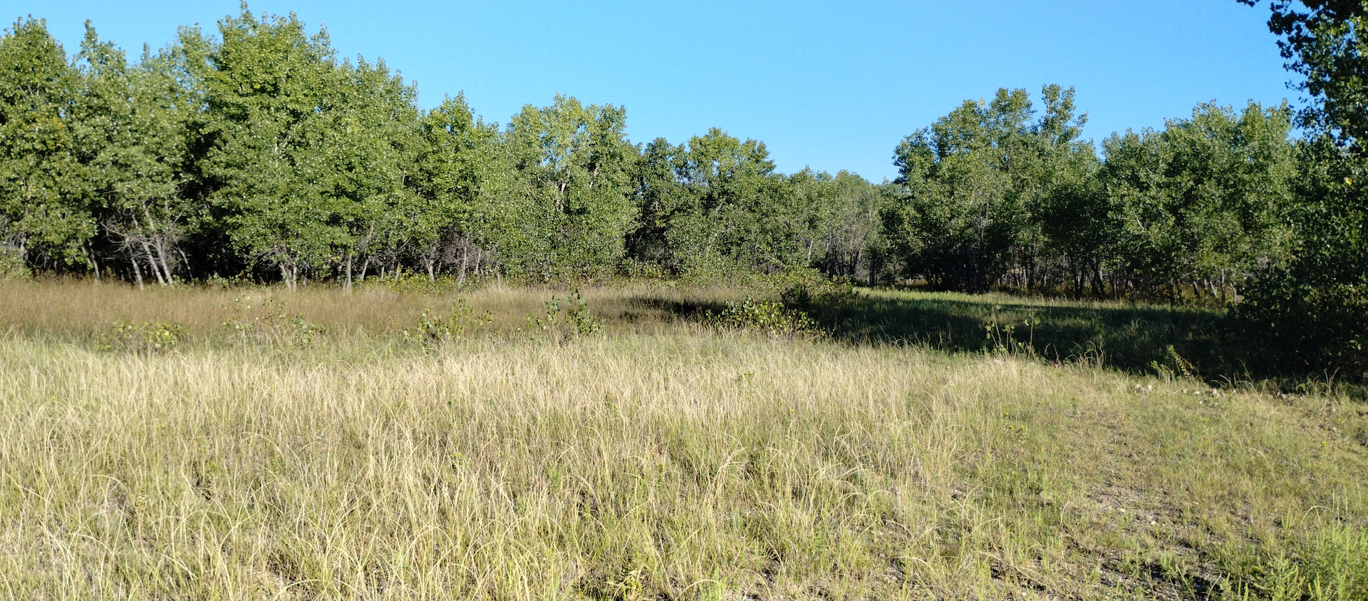 Home Ranch/Cheyenne River Bottom