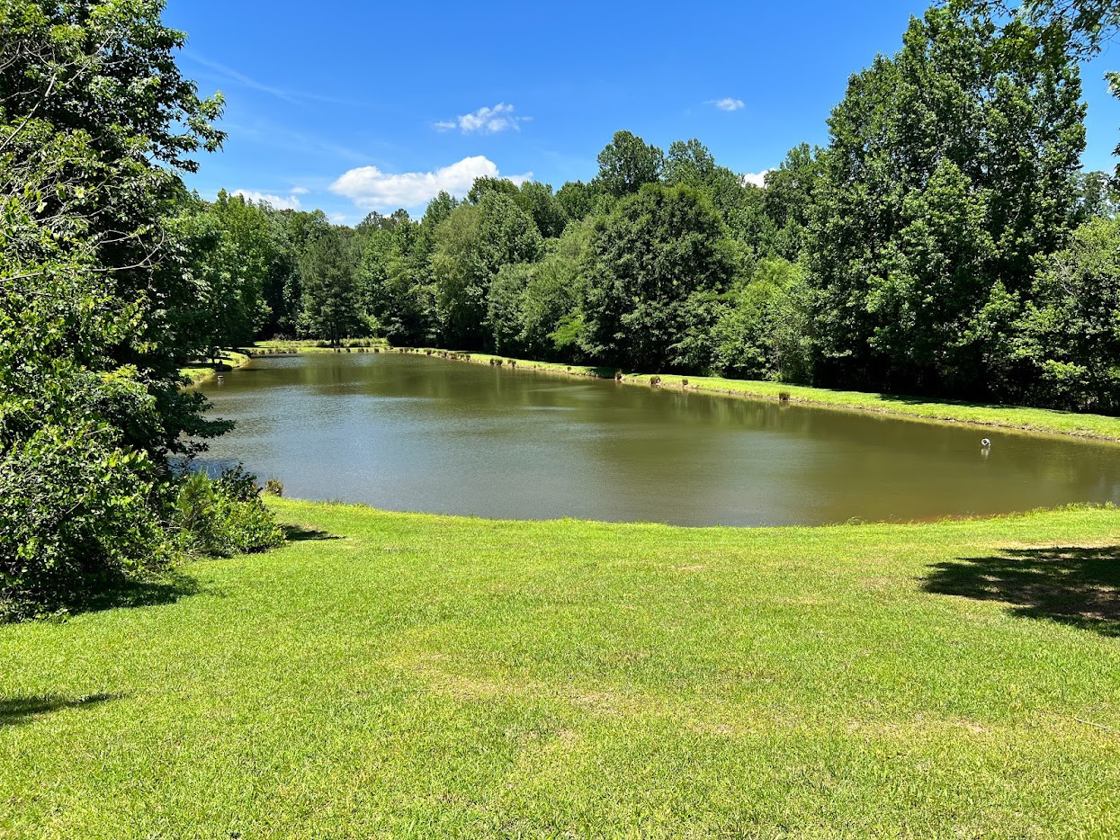 View from the side of the pond closer to the barn.