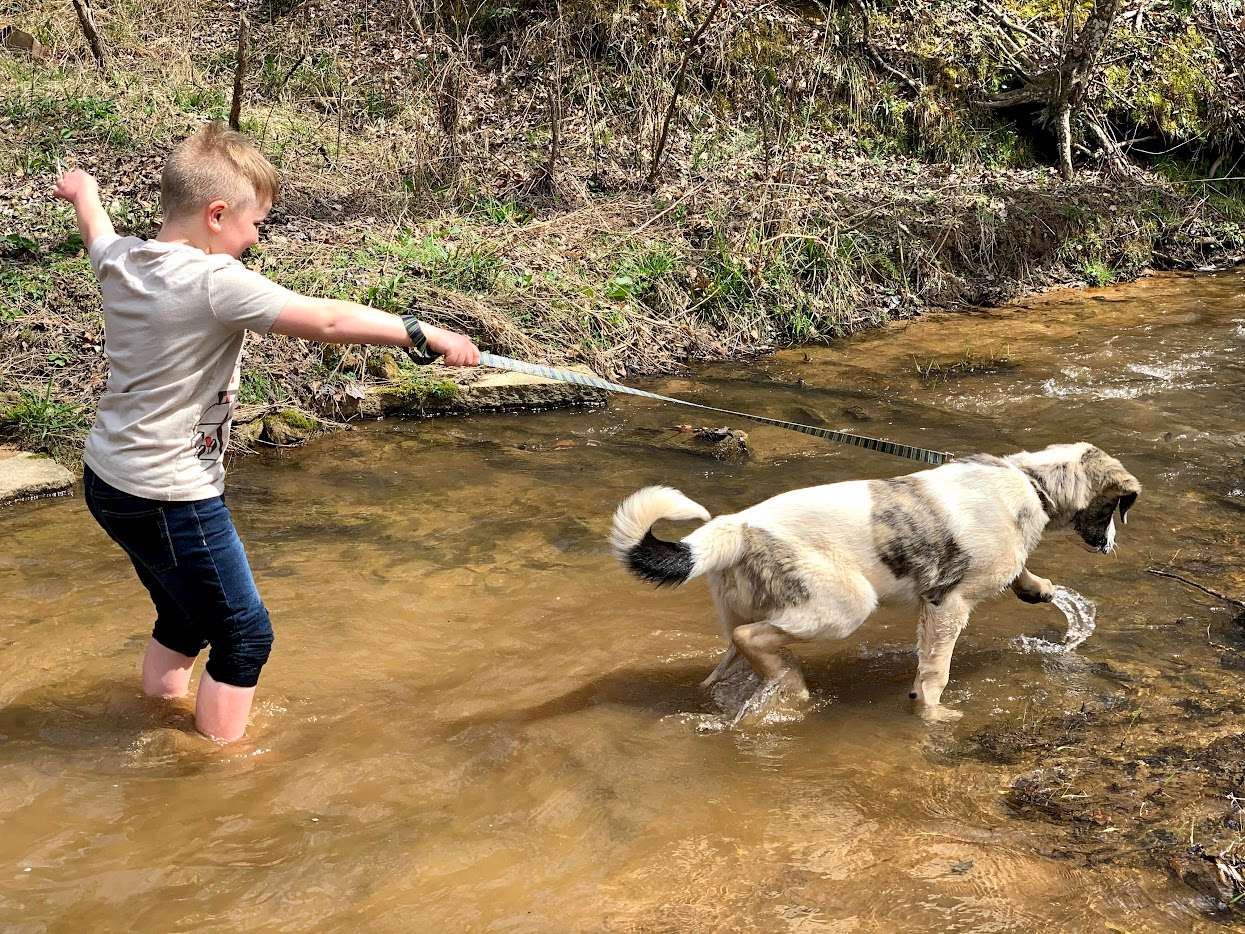 Playing in the creek