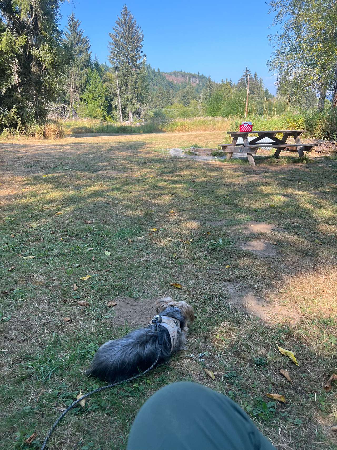 Misty Meadows Adventures Mt.Rainier