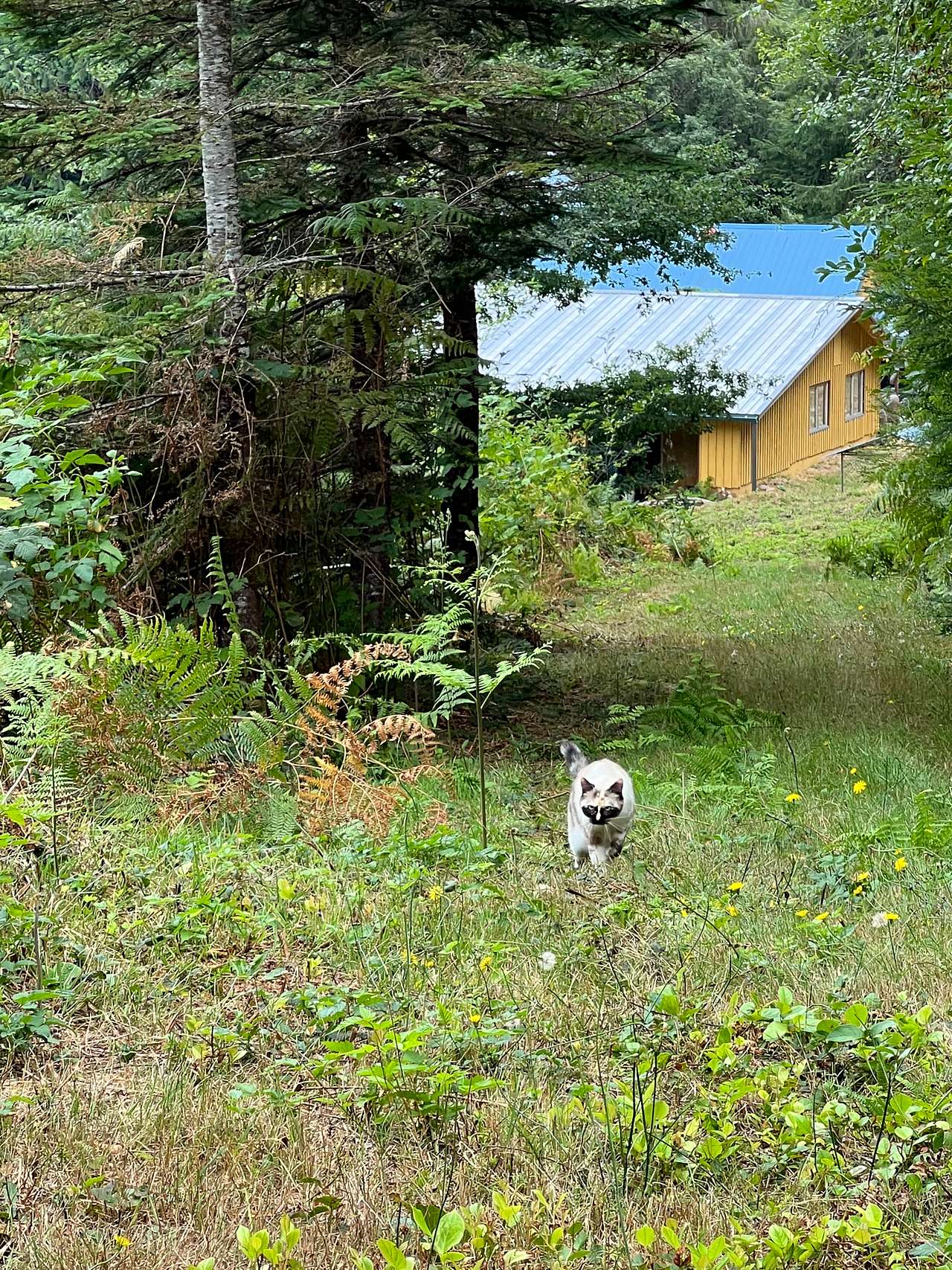 Rainbow Ridge Retreat