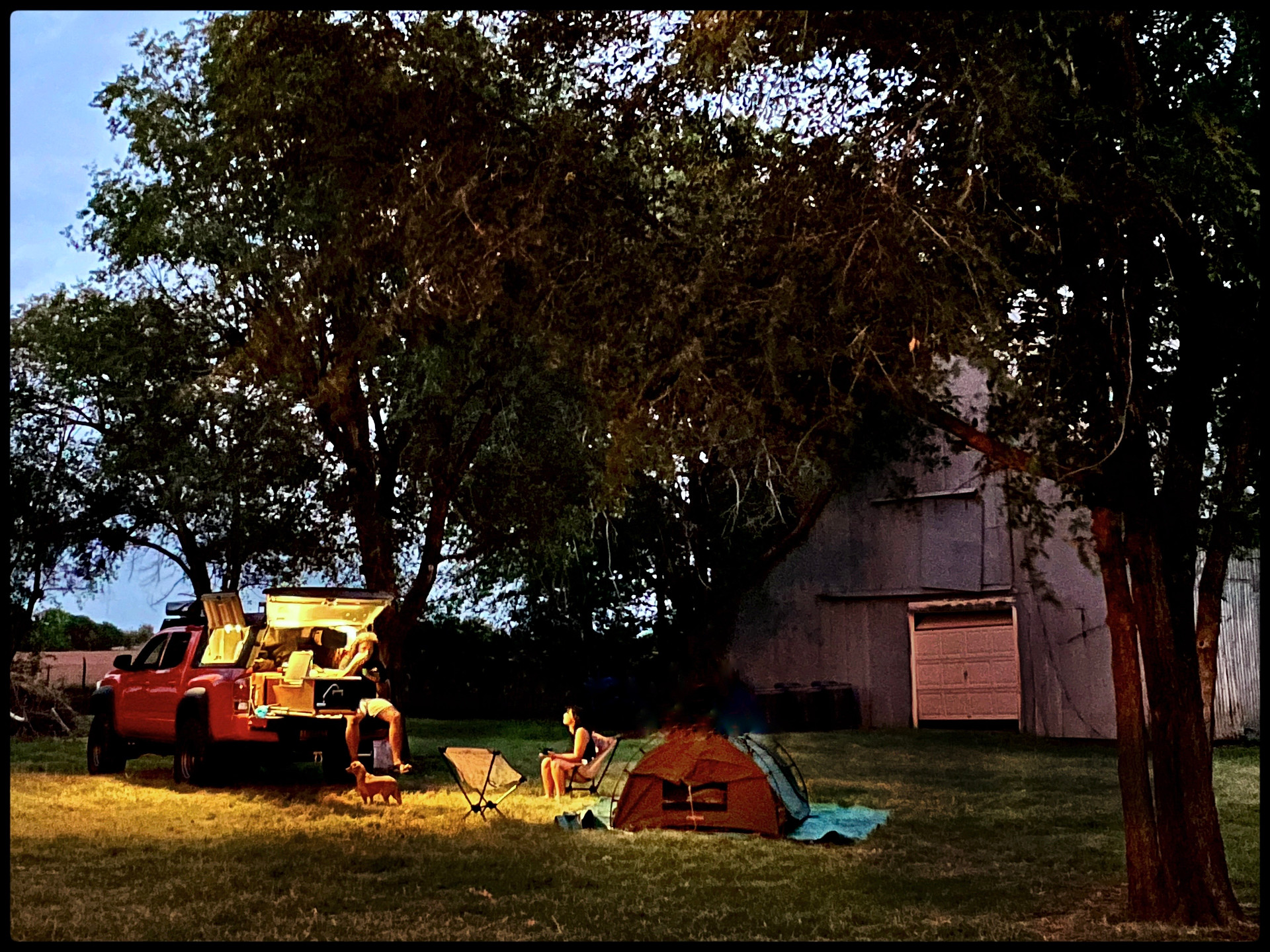 Our Little Grove