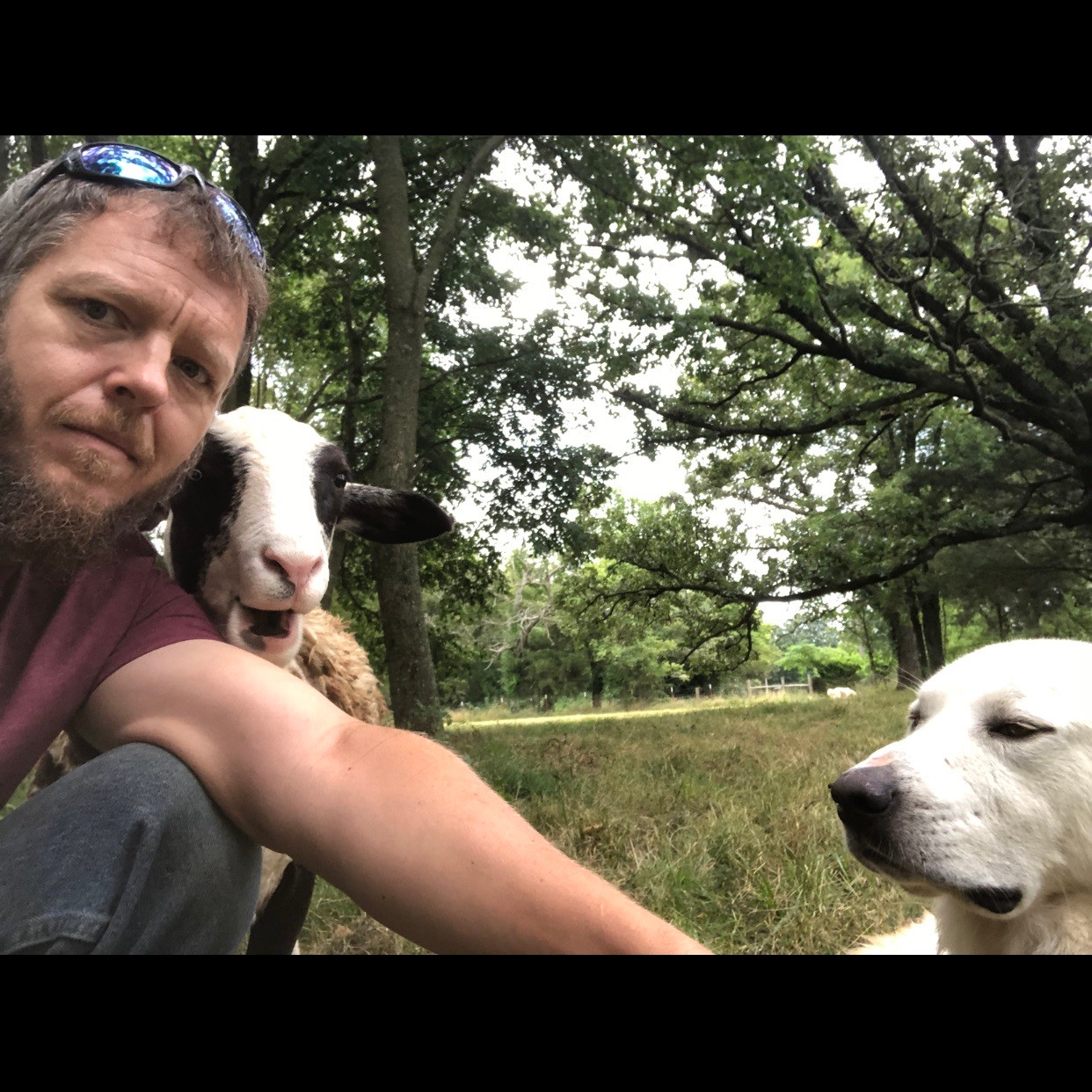 Staff meeting. 
