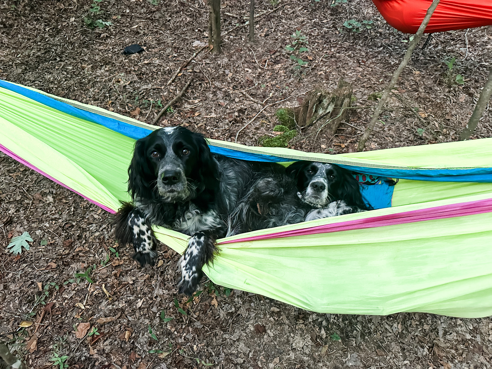 The Tallapoosa Hideaway: Wilderness Retreat