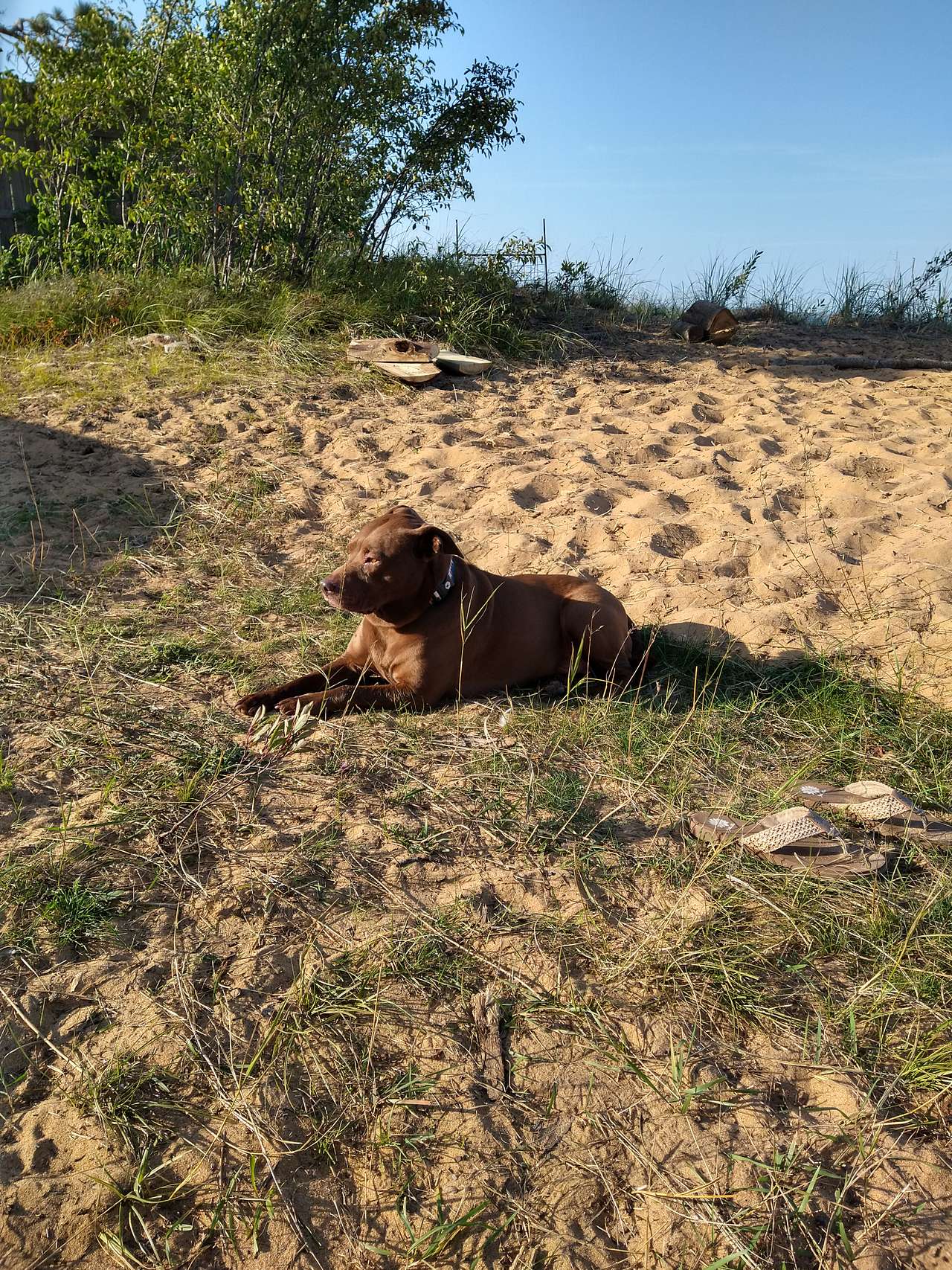 Lake Superior Beach Perfection