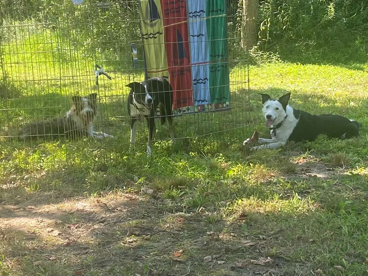 Full Circle Farm