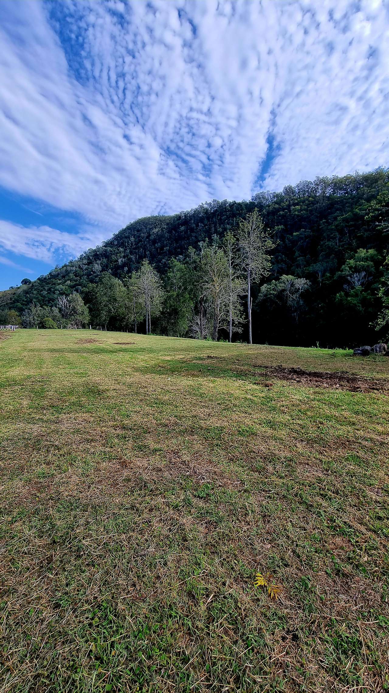 Upper flat campsite