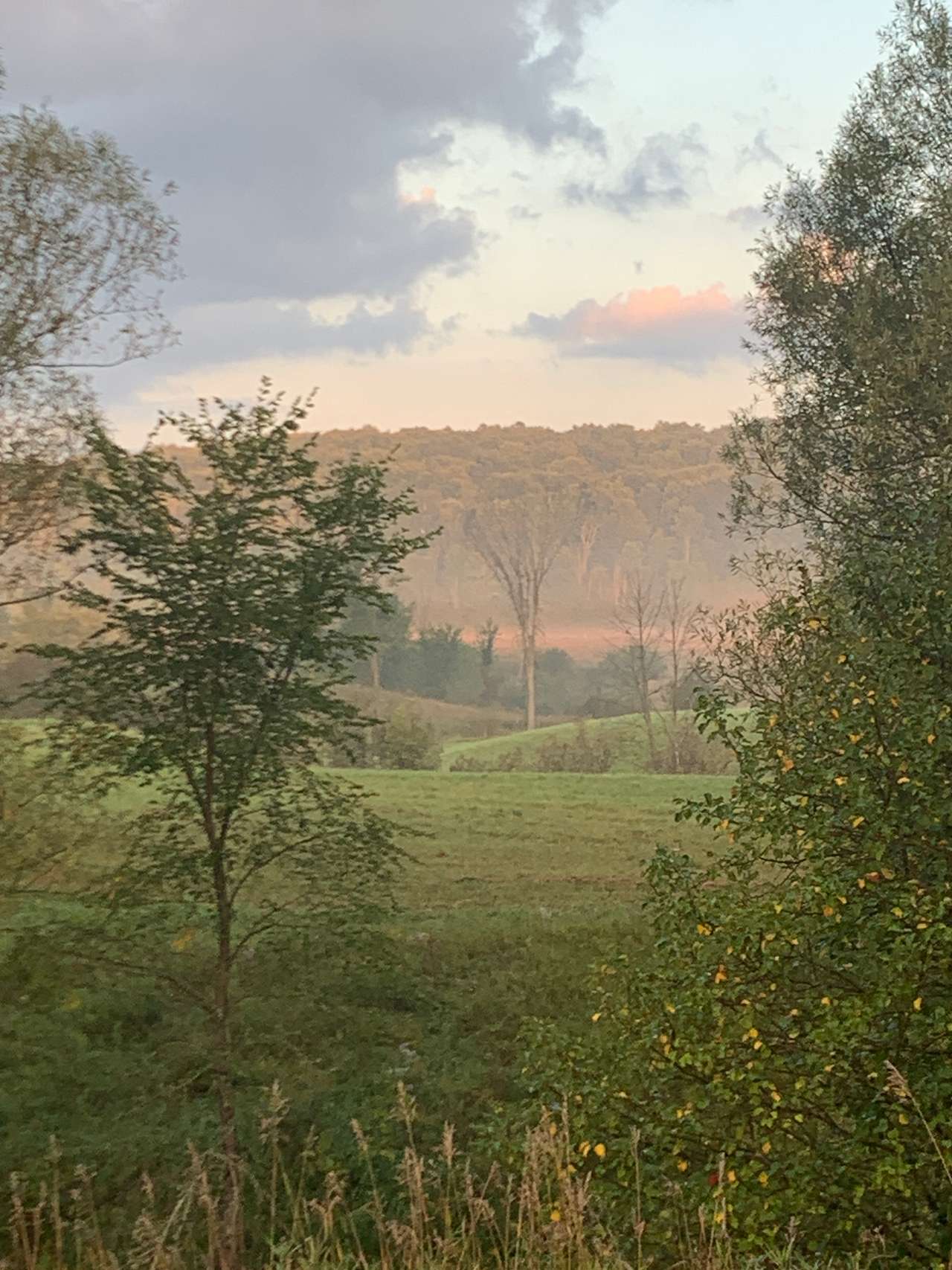 Pleasant Farm Vistas in Rupert