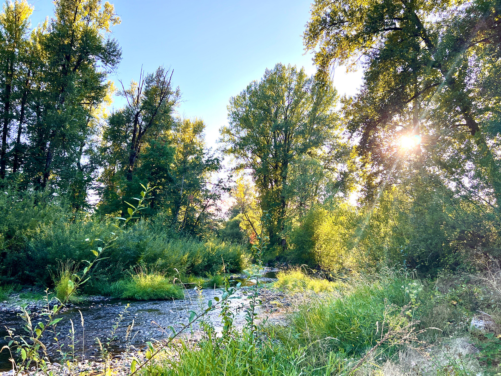 Just steps from the gorgeous creek