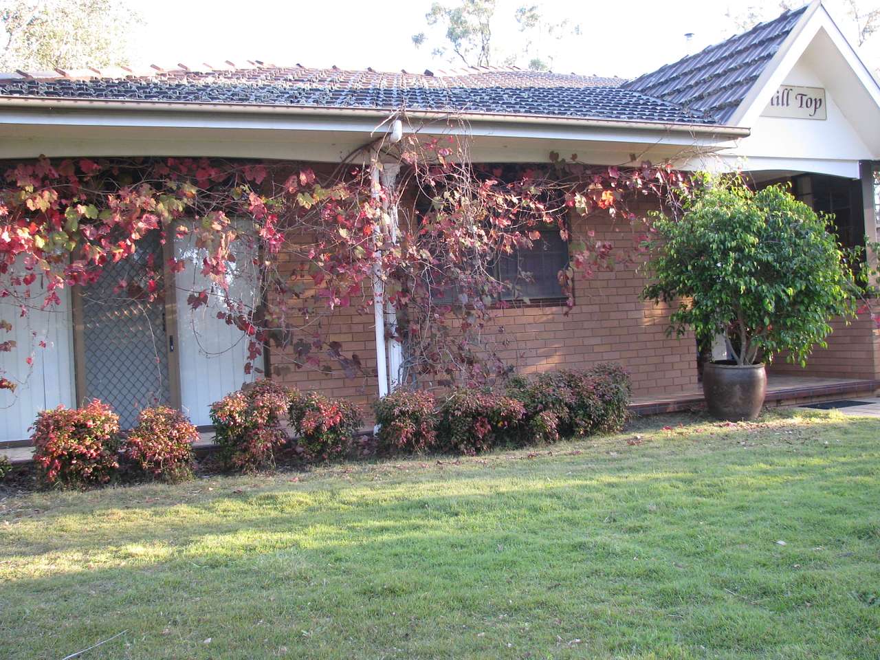 Lovedale Farm Stay  & Horseriding