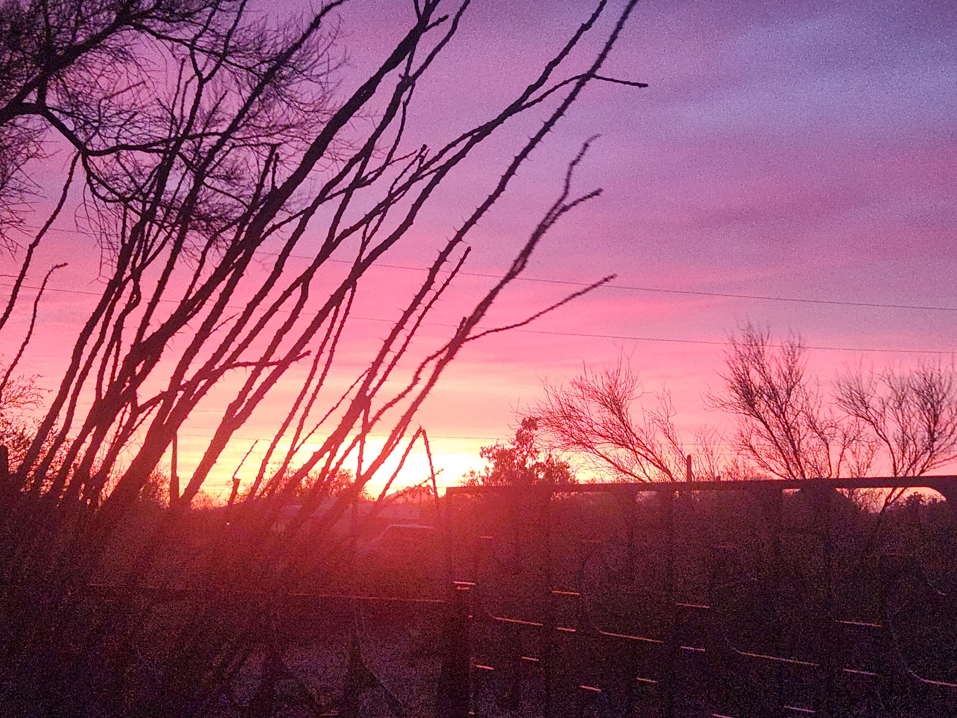 Camp Saguaro
