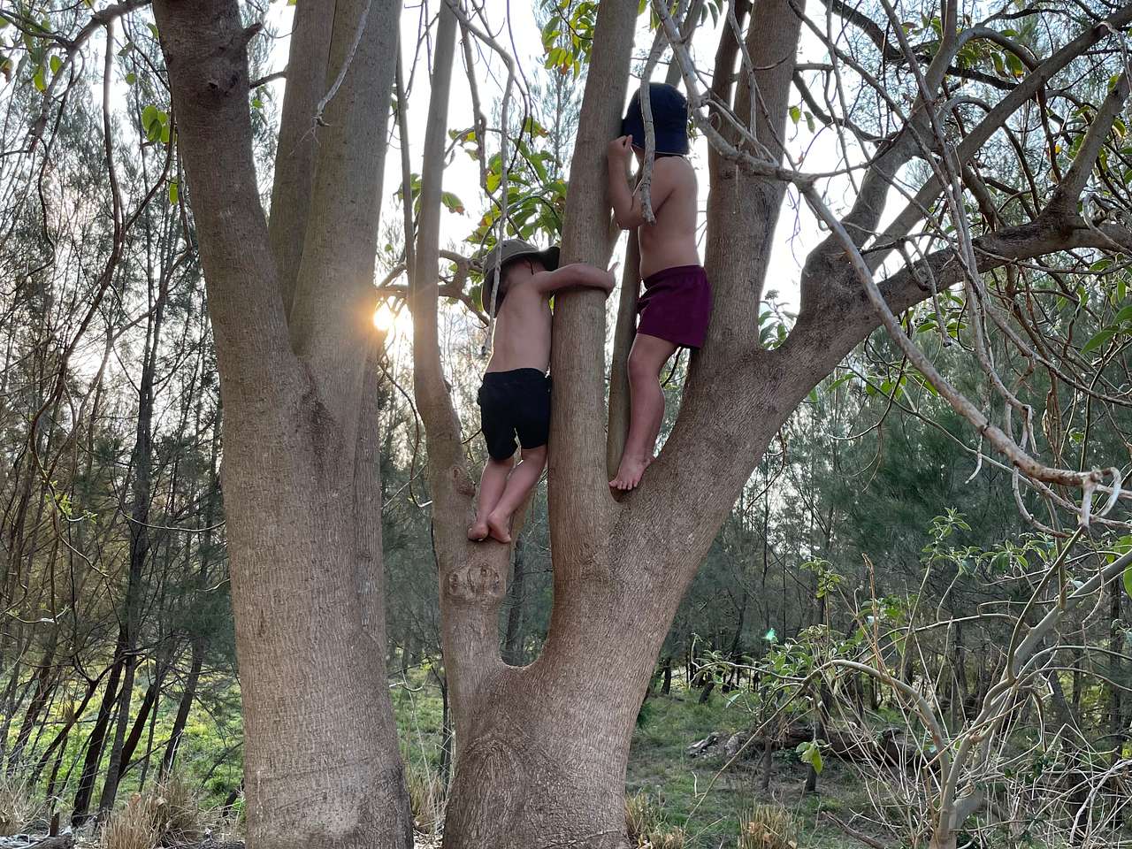 BYO Adventurers 