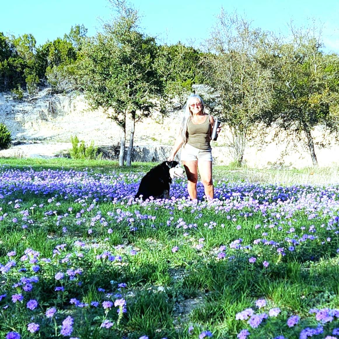 Meadow during spring