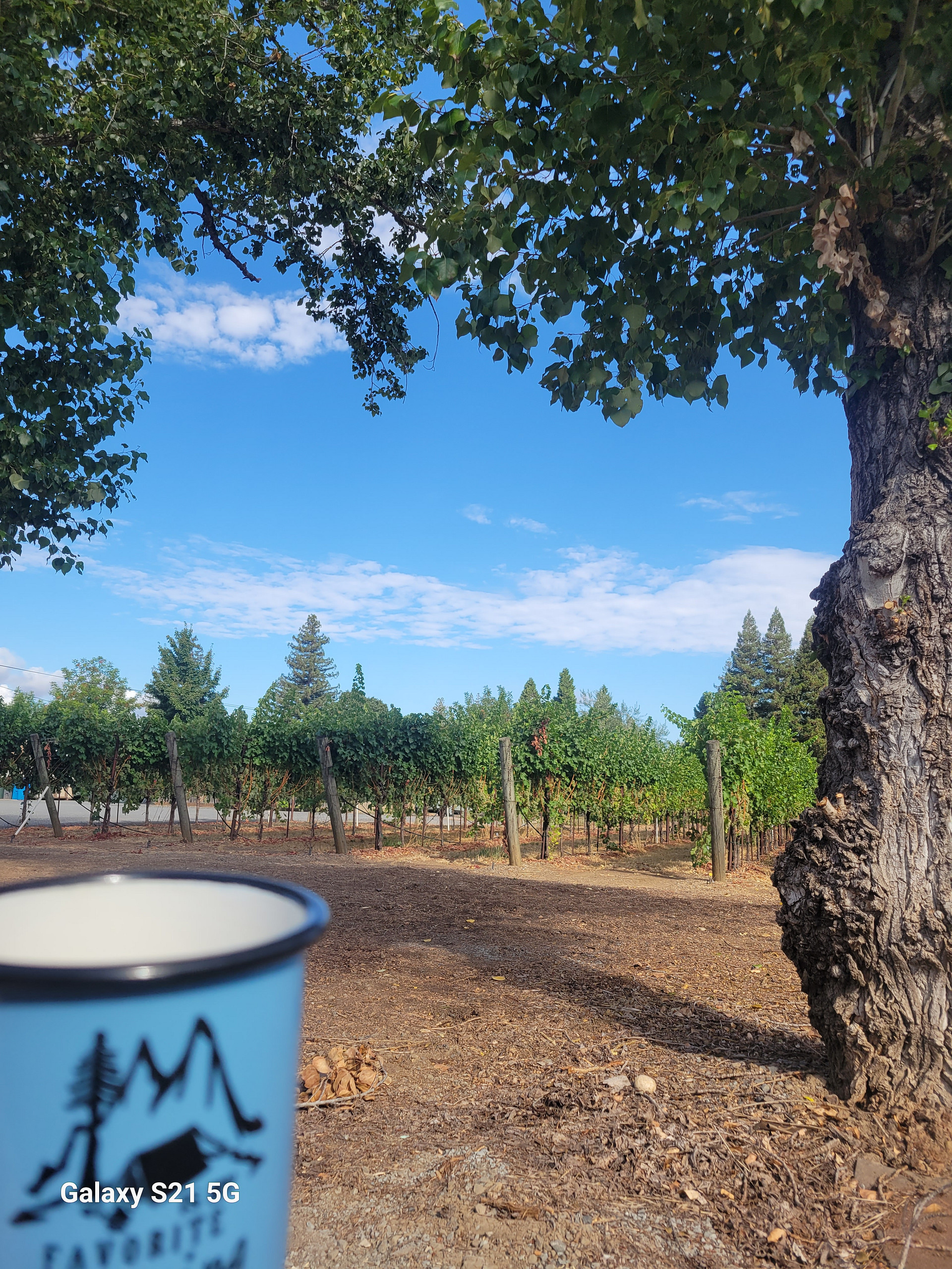 Coffee with a view outside my door