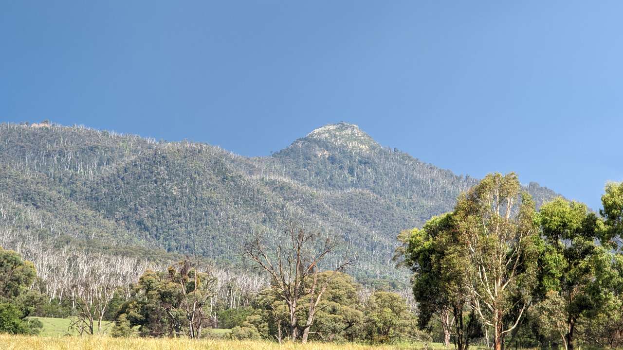 Nanadhong Views