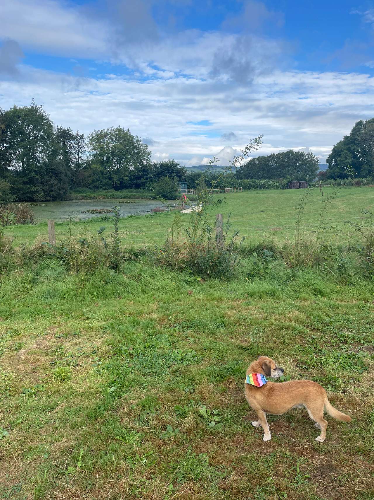 Hobby Farm