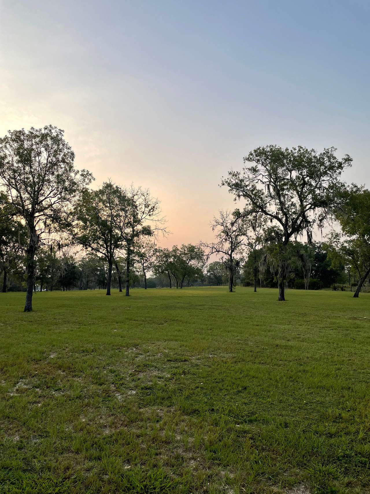 Wildflower Ranch