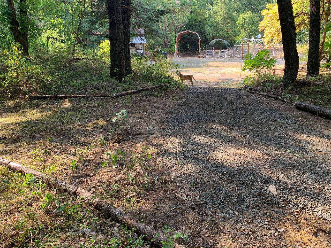 Standing inside of the camp spot looking out towards the driveway and entrance to the site.
