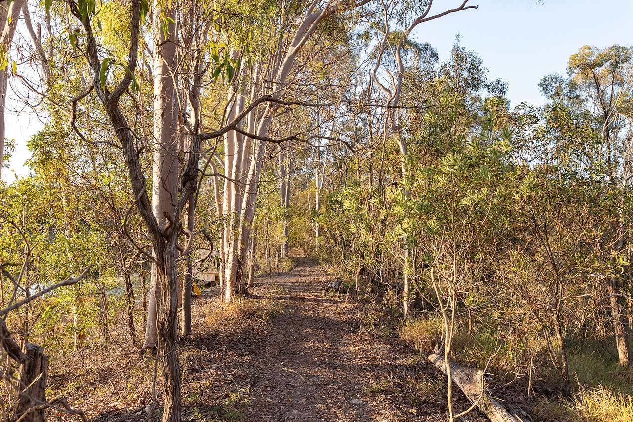 Walking path 