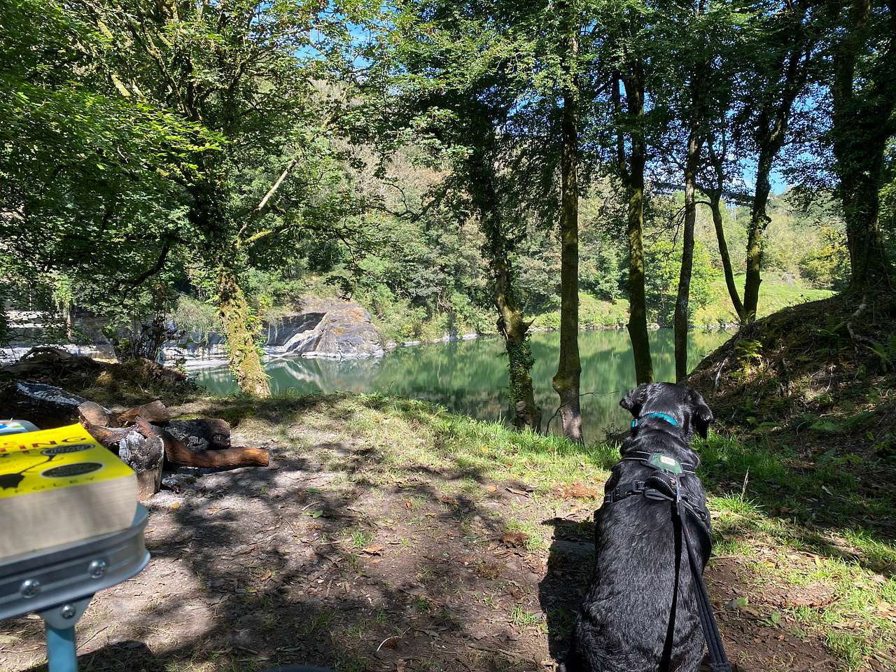 Meldon Lake and Woods Wild Camping