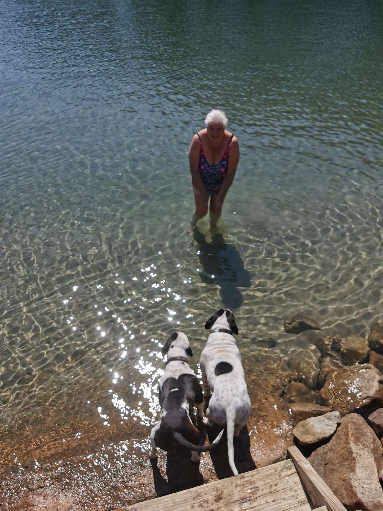 Anchorage Park Urunga