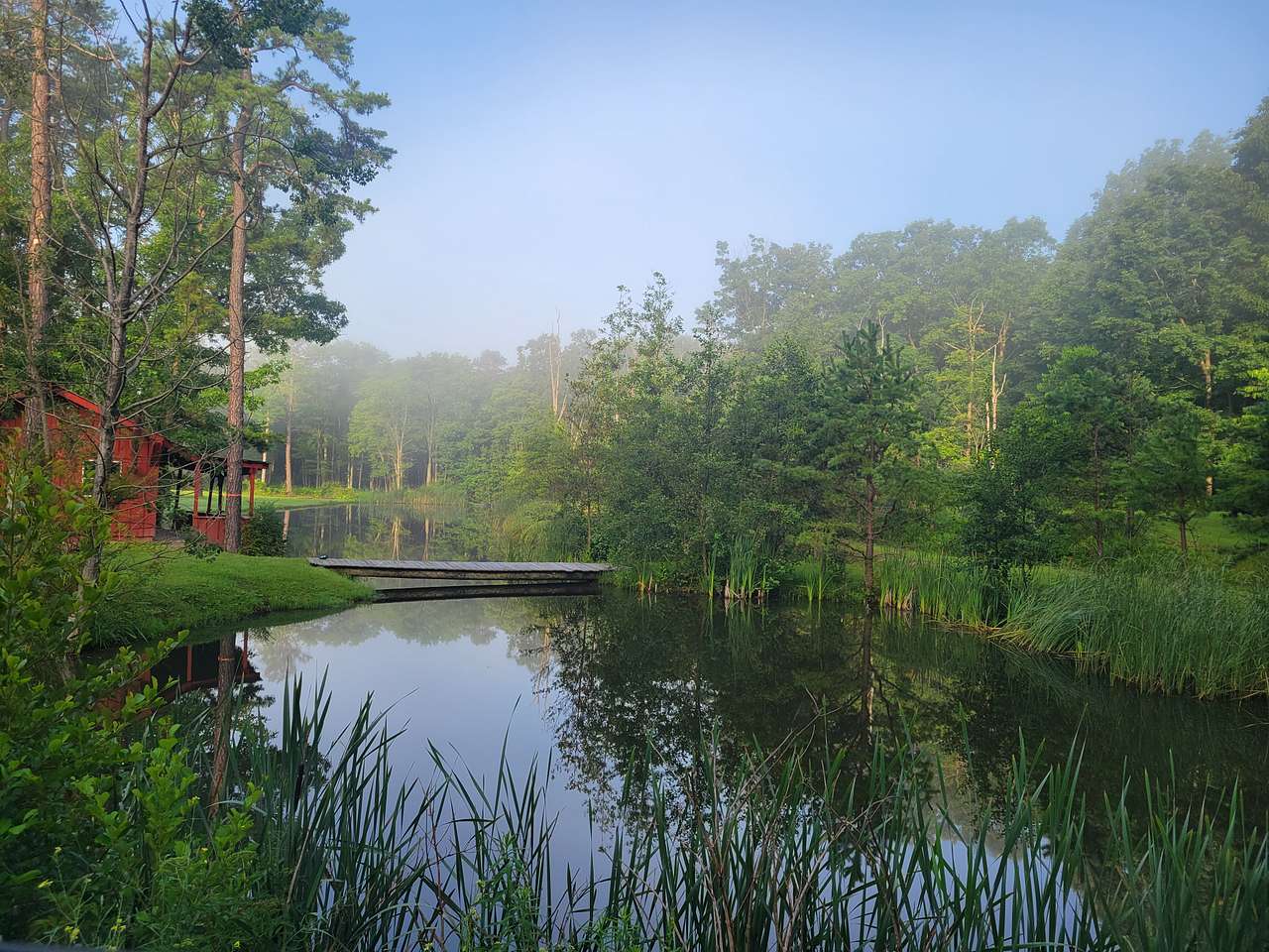Mountain Springs Wellness