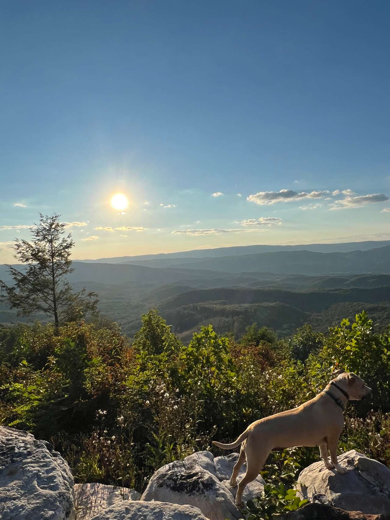 Private 235-Acre Mountain ⭐