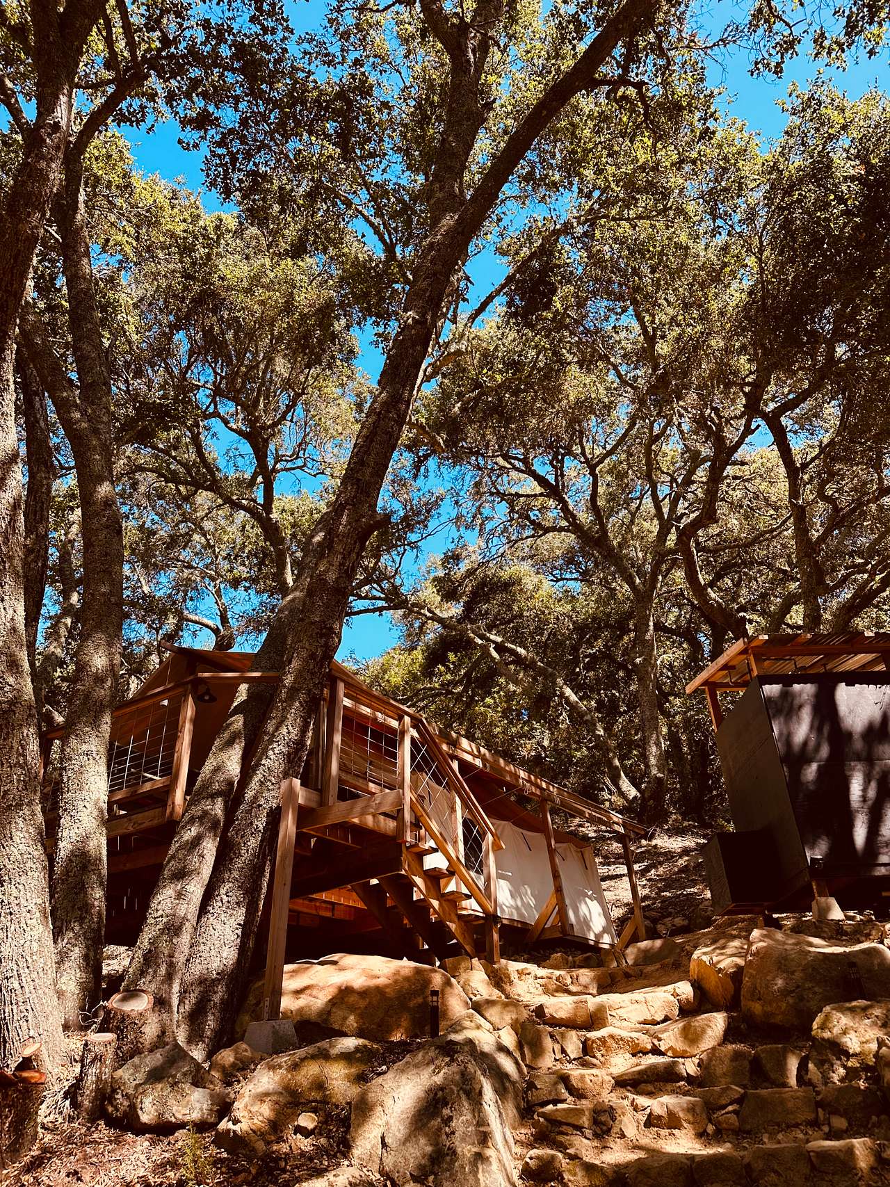 Canvas Under the Oaks