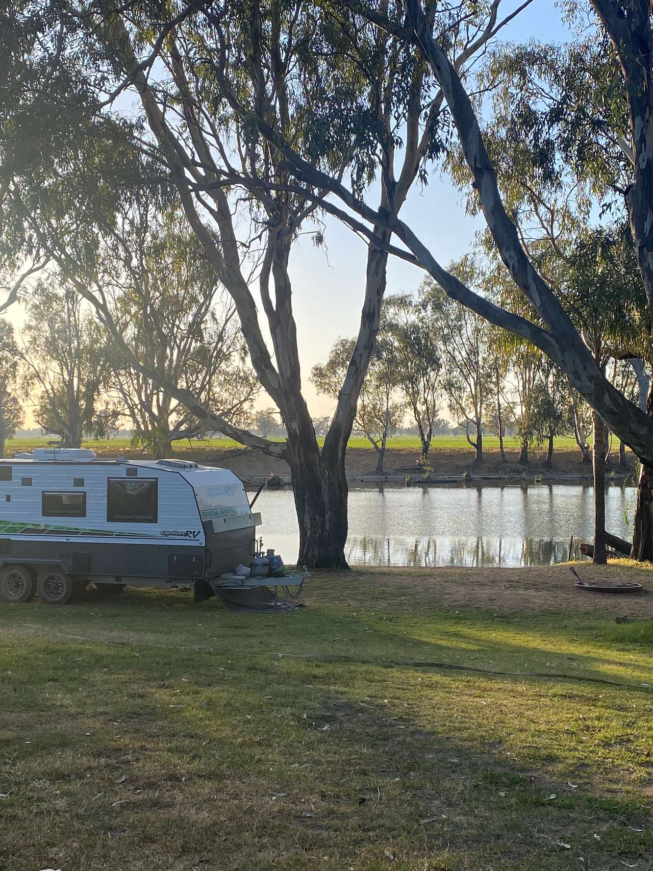 Cudgella on Bundidgerry Creek