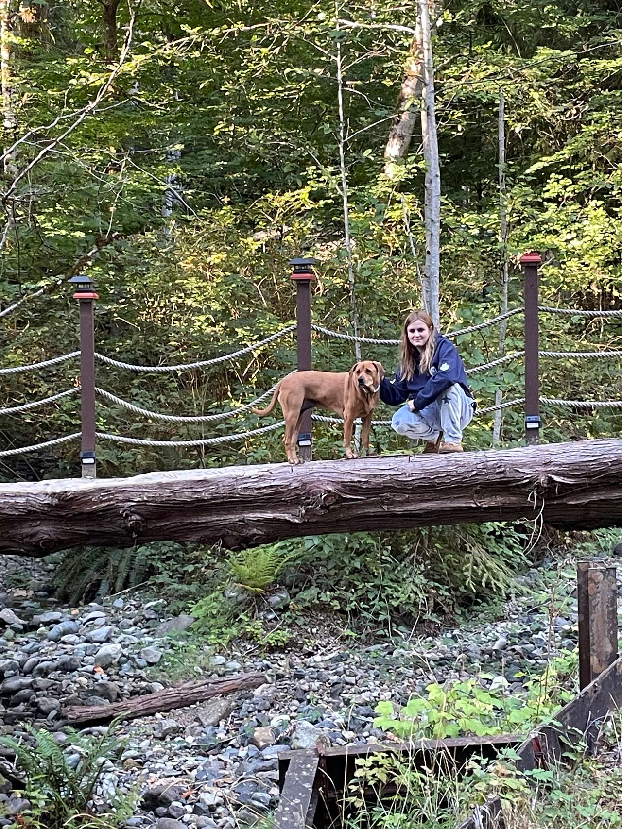 Olympic Wanderer~Creekside~HotTub