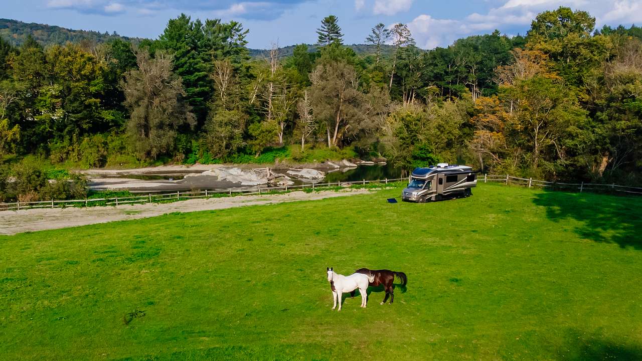 Just us and the horses