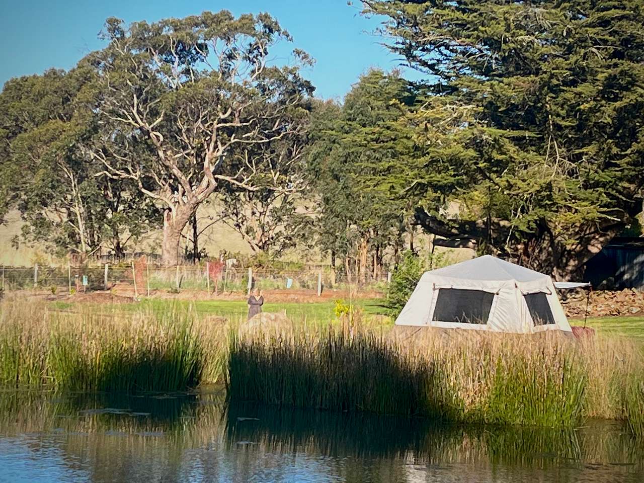 Lakeside or Orchard Paddock Camping