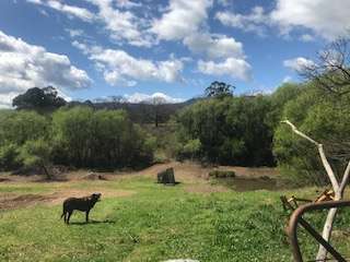 Running Creek Retreat