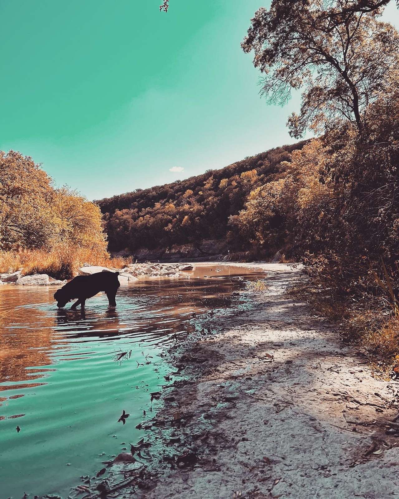 Pecans on the Paluxy - River Views