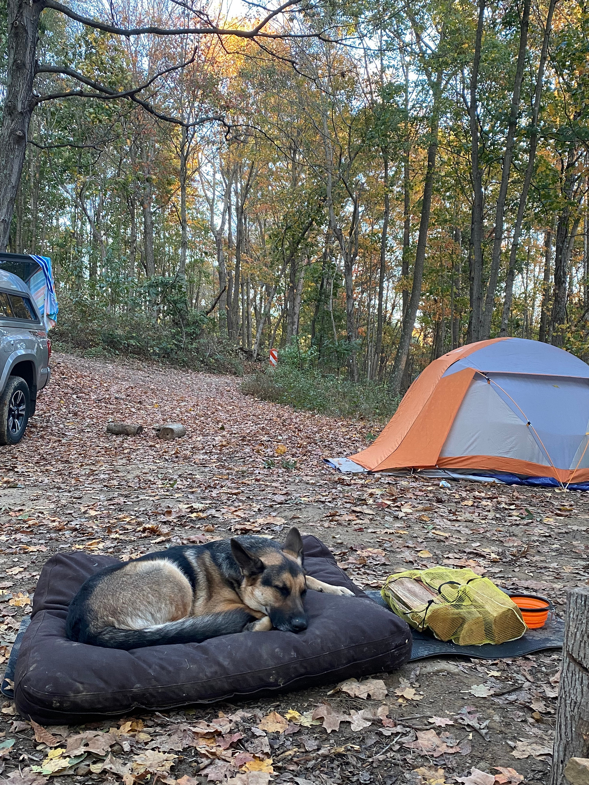 Yourway Camp