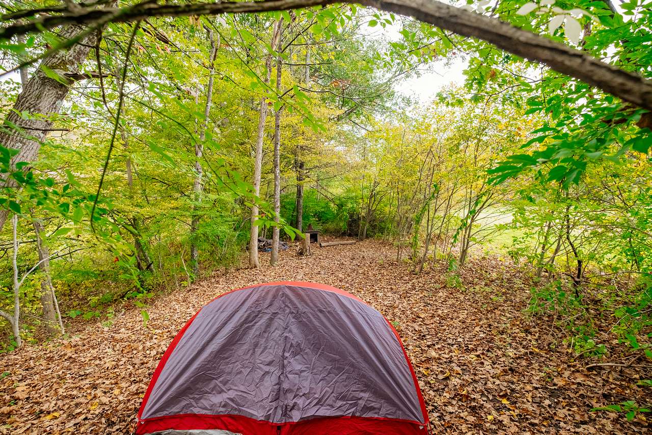 Riverside Maple site