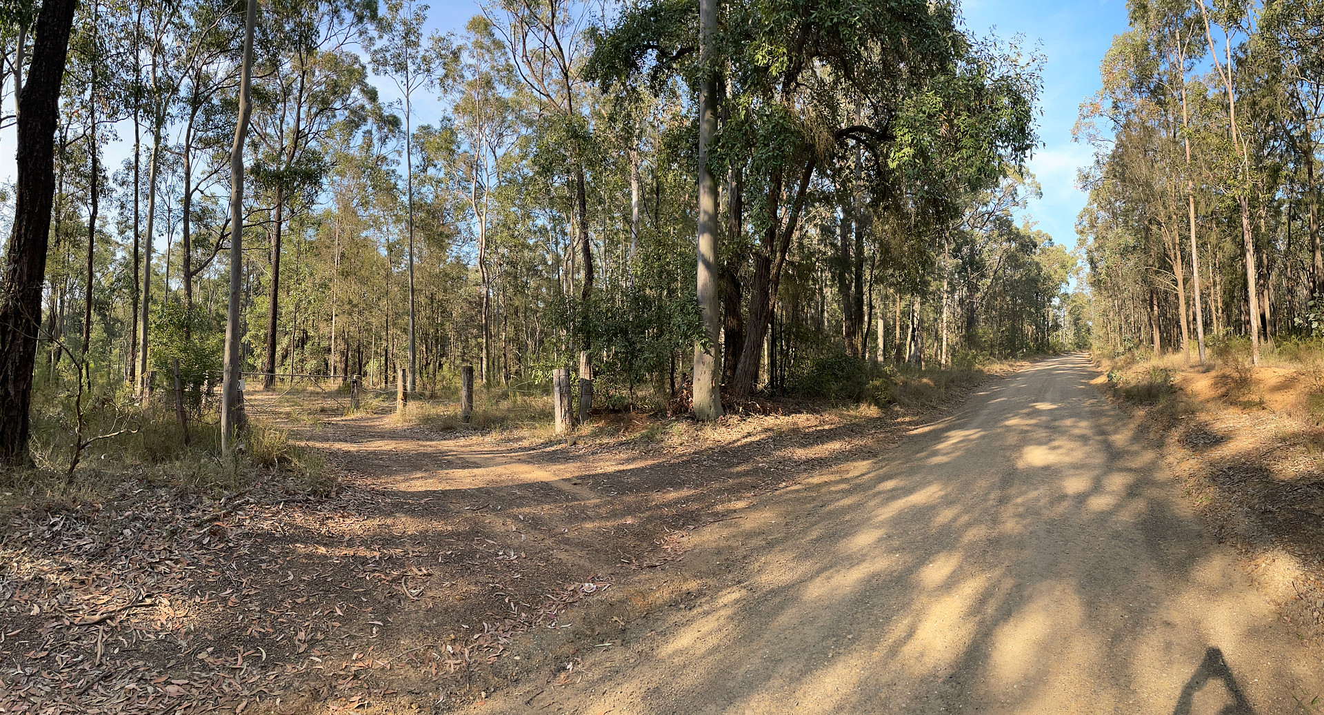 A taste of bush camping