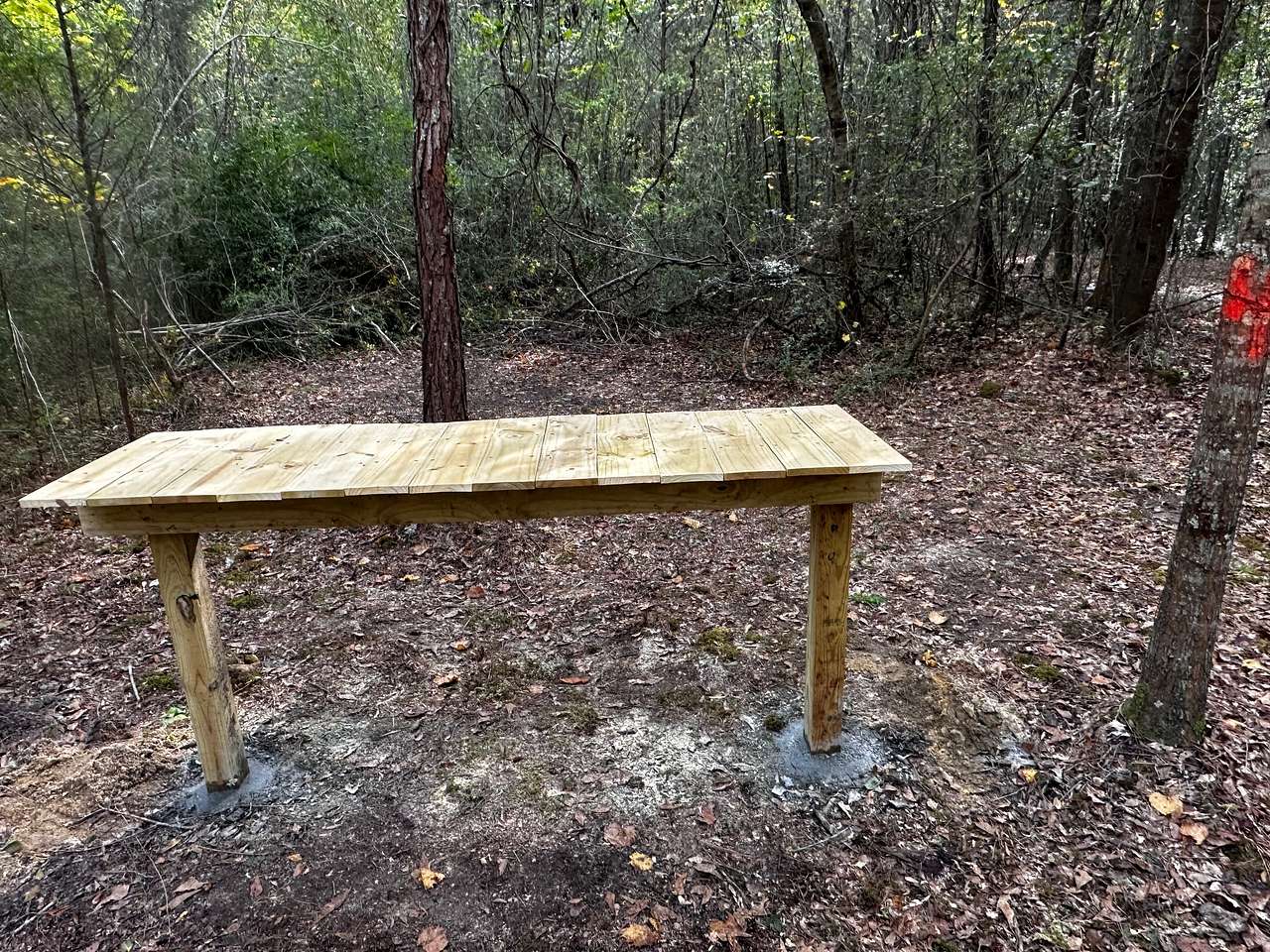 Site 4 - camping table