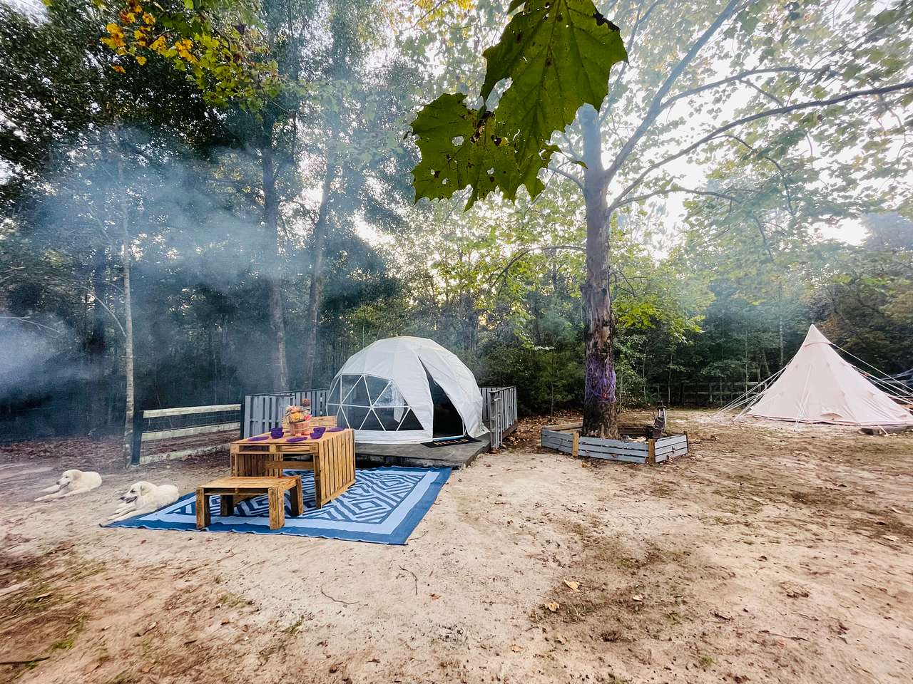 SandyLand Farmstay GlampingTherapy