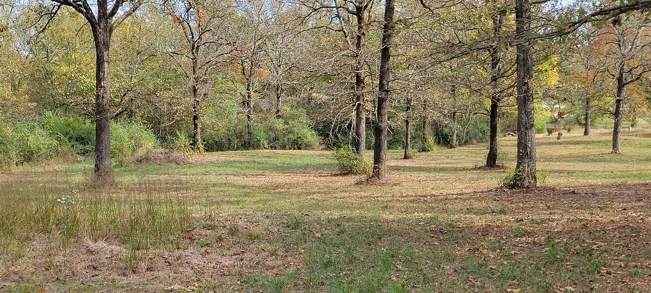 Turtle Island RV Park & Campground