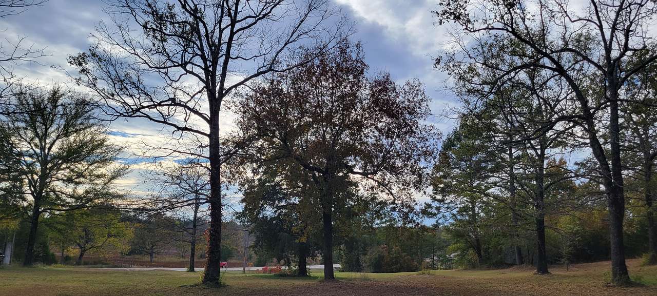 Turtle Island RV Park & Campground