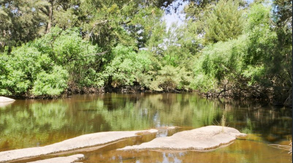 Riveroak Farm