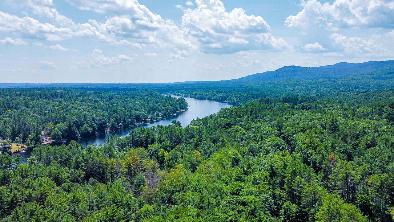 Camp Hudson Pines