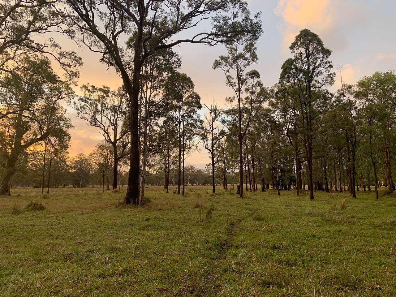 Sawpit Creek