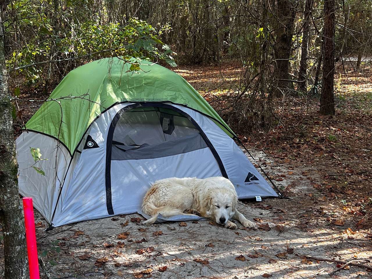 SandyLand Farmstay GlampingTherapy